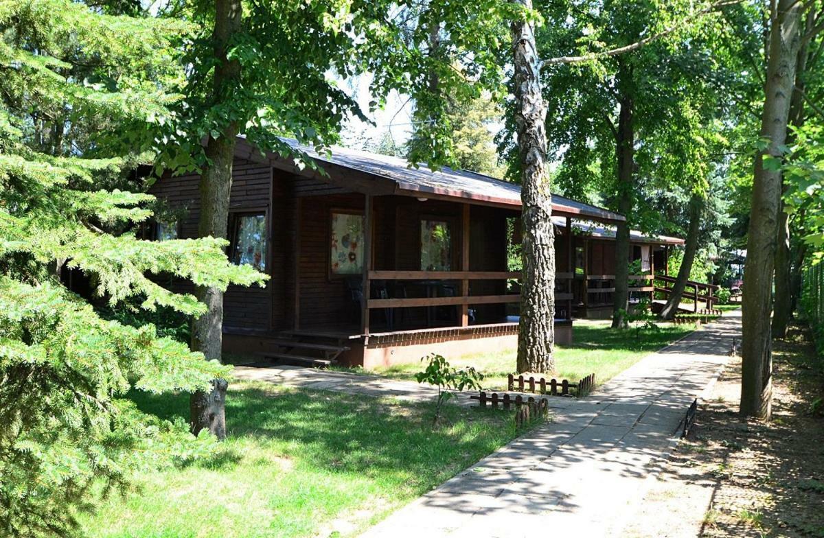 Chrzypsko Wielkie Osrodek Wypoczynkowy Sielawa 빌라 외부 사진